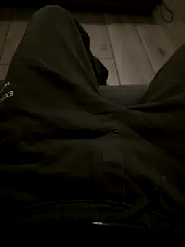 Snapshot of Theanimals chatting on November 1, 11:42 pm Theanimals online show from November 1, 11:42 pm