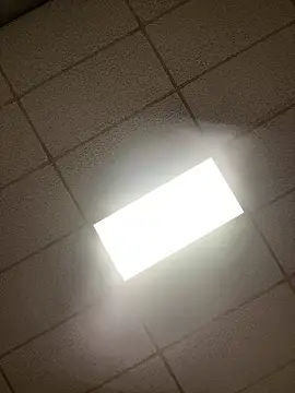 lexuslover687 online show from April 17, 7:11 am