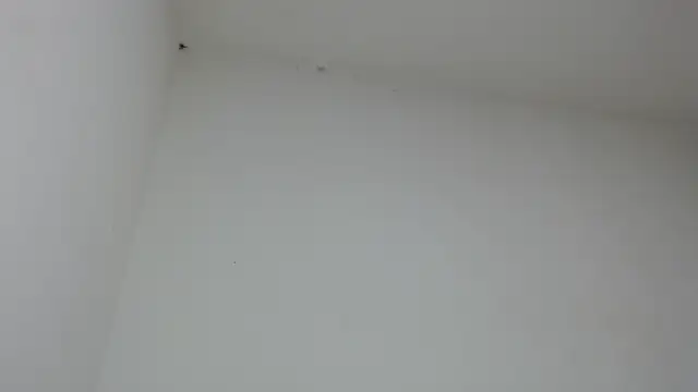 drako monster online show from January 31, 9:46 pm