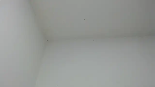 Snapshot of drako_monster chatting on December 18, 6:51 am drako monster online show from December 18, 6:51 am