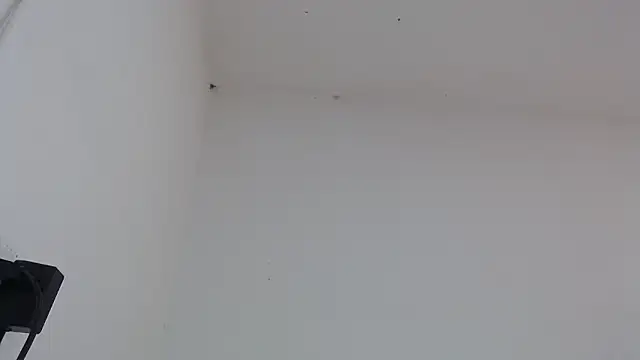 drako monster online show from February 4, 3:18 pm