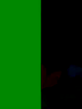 Snapshot of Co_punam chatting on November 3, 3:23 am Co punam online show from November 3, 3:23 am