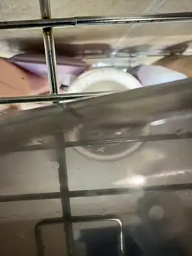 Beastyfuck online show from November 25, 5:08 am