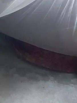 gio-thu online show from February 8, 2:42 am