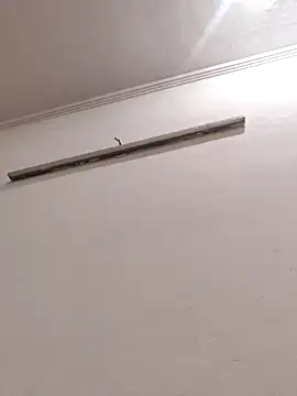 Anchal-8798 online show from January 8, 4:24 pm