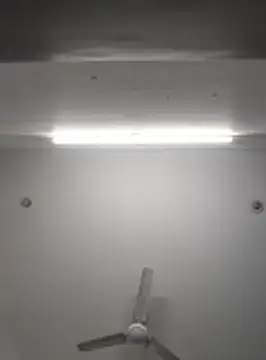 Snapshot of Anchal-8798 chatting on November 8, 6:11 pm Anchal-8798 online show from November 8, 6:11 pm