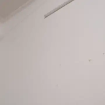 Snapshot of Anchal-8798 chatting on December 2, 6:09 pm Anchal-8798 online show from December 2, 6:09 pm