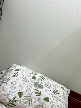 Snapshot of Ha_2660 chatting on October 22, 10:15 am Ha 2660 online show from October 22, 10:15 am