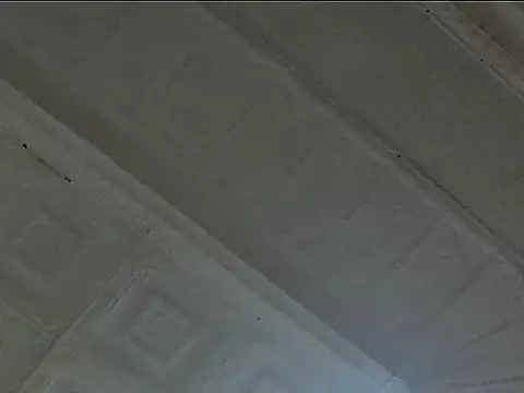 Snapshot of EsotericPaloma chatting on October 24, 7:13 pm EsotericPaloma online show from October 24, 7:13 pm