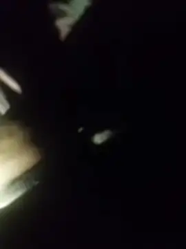 Thaps deDick online show from April 11, 9:40 pm