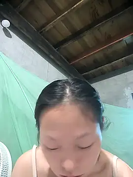 Zerin nova online show from November 1, 7:02 am