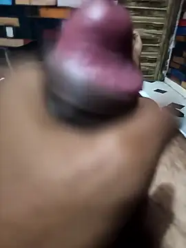 Snapshot of siddBus chatting on October 11, 1:45 pm siddBus online show from October 11, 1:45 pm