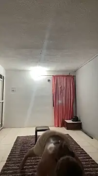 thepicis online show from March 13, 12:26 am