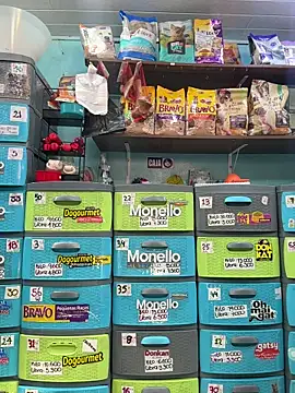 Lucy 699 online show from February 25, 6:30 pm