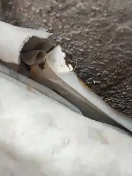 blackhot30 online show from October 12, 7:15 pm