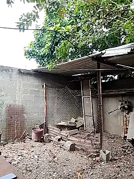 blackhot30 online show from November 26, 6:41 pm