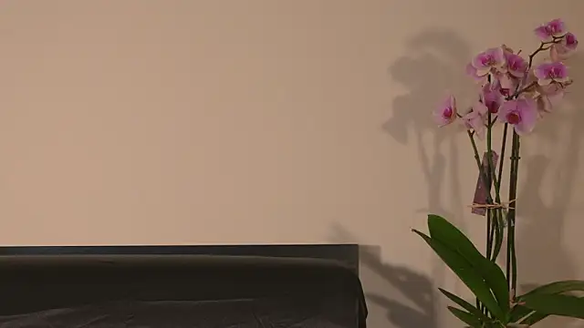 AbrilColls  online show from March 15, 12:17 am