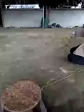 marylove-cc online show from November 20, 2:12 am