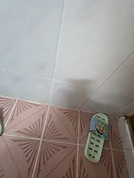 Xiaodebu12 online show from December 1, 6:36 am