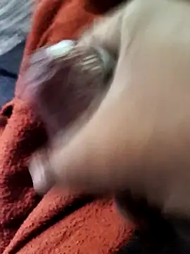 Snapshot of lexxymoron chatting on November 15, 2:59 am lexxymoron online show from November 15, 2:59 am