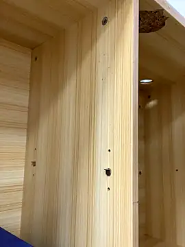 Winona88 online show from November 6, 9:02 am