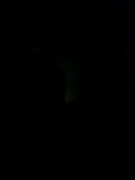 sexdol2 online show from December 1, 7:09 am