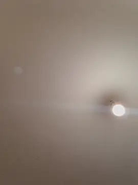 labellerose online show from November 14, 6:11 pm