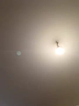 labellerose online show from April 5, 5:19 pm