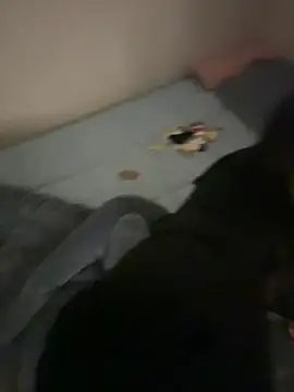 MISA 02 online show from February 9, 10:02 am