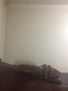 Sahrawi-fhal online show from October 27, 12:44 am