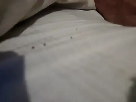 Snapshot of jjLARAY chatting on February 15, 10:36 am jjLARAY online show from February 15, 10:36 am