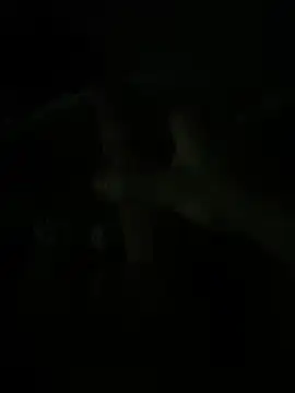 Snapshot of LittleGuyyy9 chatting on December 4, 1:37 am LittleGuyyy9 online show from December 4, 1:37 am