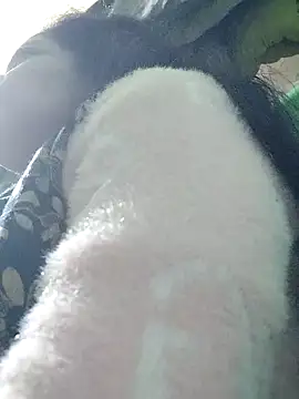 Jaanvi G online show from December 19, 1:35 pm