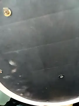 Marathi gavtami online show from January 14, 8:29 am