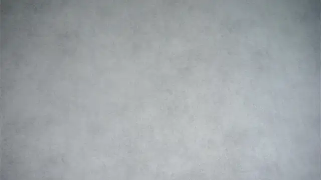 MonetLeitman online show from April 11, 1:24 am