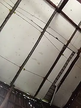 Cherry pusy99 online show from November 14, 1:09 am