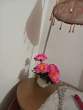 Snapshot of Tanha18 chatting on July 1, 1:33 pm Tanha18 online show from July 1, 1:33 pm