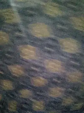 Tanha18 online show from December 5, 7:01 pm