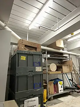 Snapshot of AlexGogo23 chatting on February 12, 11:54 am AlexGogo23 online show from February 12, 11:54 am