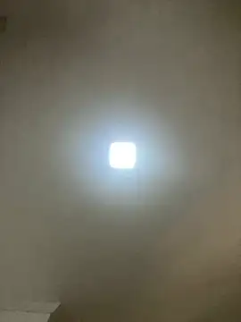 safadinhaquenteW online show from January 11, 4:47 pm