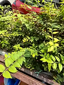 Snapshot of crawlerdrill chatting on October 19, 4:37 am crawlerdrill online show from October 19, 4:37 am