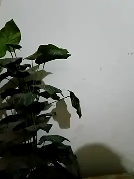 Jessica-03 online show from March 4, 4:59 pm