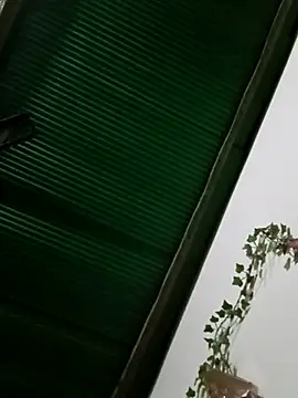 Jessica-03 online show from November 18, 9:40 pm