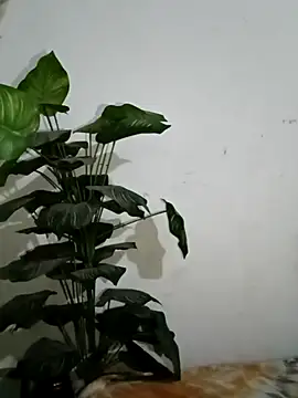 Jessica-03 online show from March 6, 5:52 pm