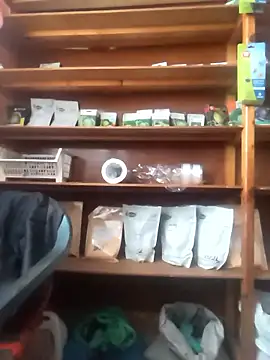 szabi1995 online show from January 10, 8:09 am