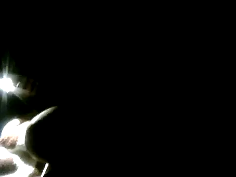 YoussefAl-Fahl online show from November 26, 10:54 pm