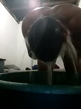 MyGuy352 online show from December 4, 7:13 pm