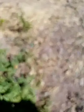 228fucker online show from January 7, 6:18 am