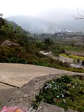 siusiu-00 online show from March 3, 4:41 am