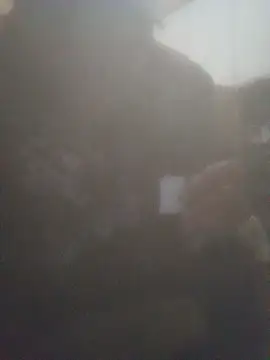 juniors-34 online show from November 22, 4:00 am